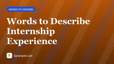 Words to Describe Internship Experience