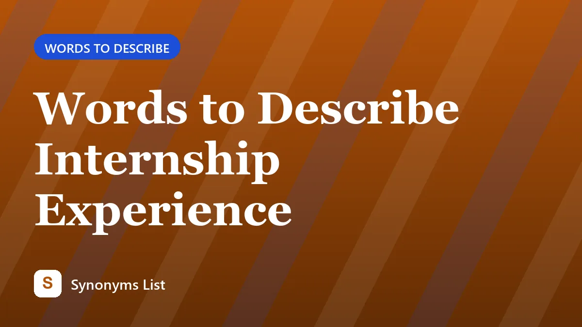 Words to Describe Internship Experience